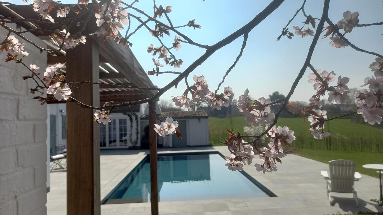 Chambres D'Hotes - Au Clos D'Amande Lasne Exteriör bild