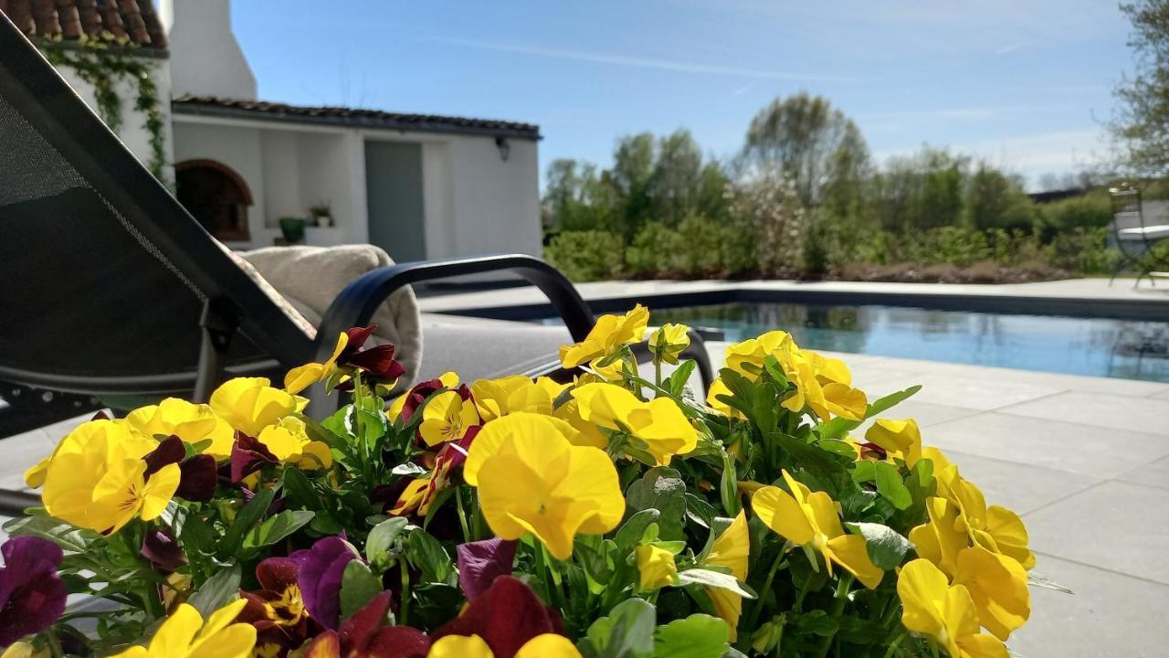 Chambres D'Hotes - Au Clos D'Amande Lasne Exteriör bild