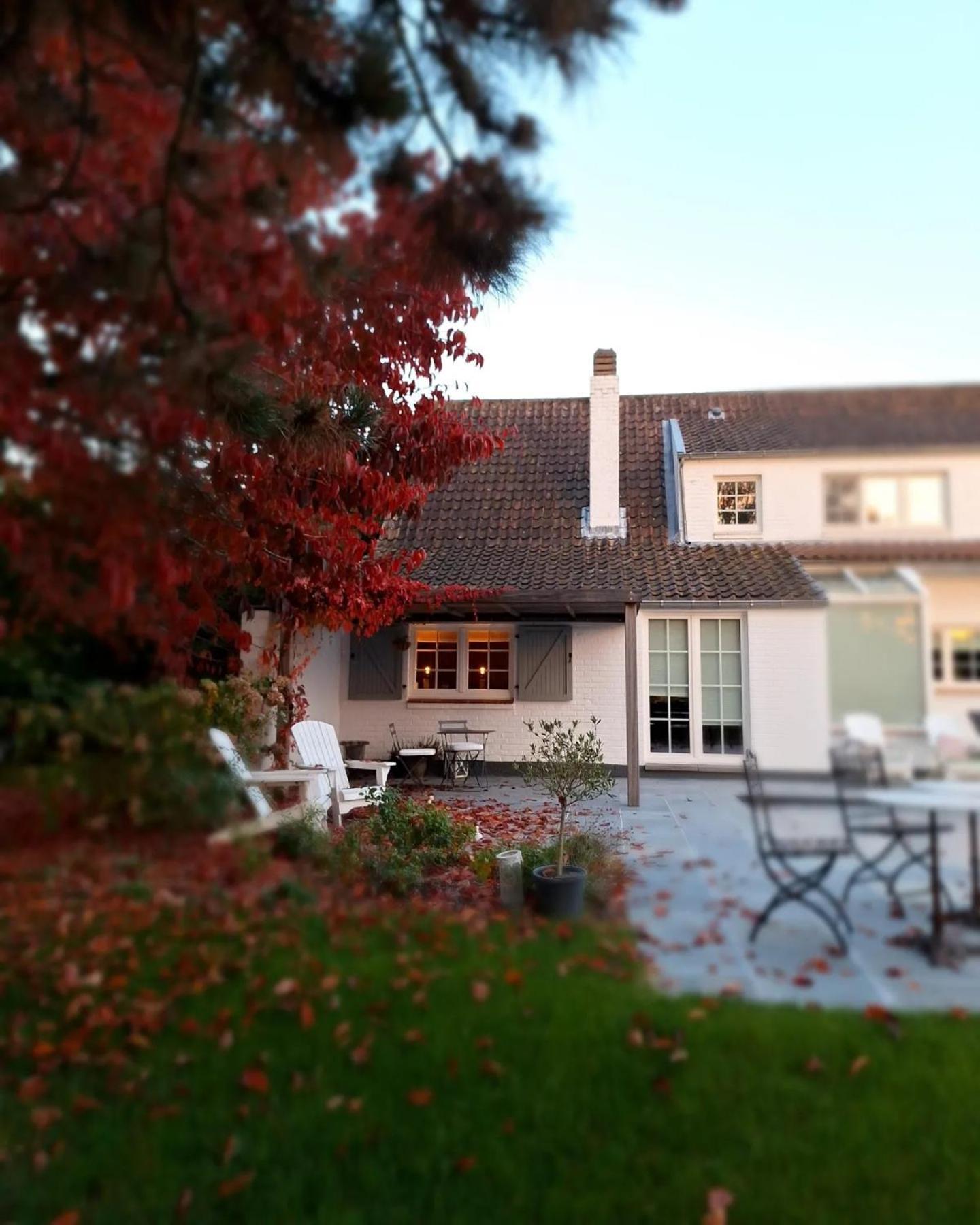 Chambres D'Hotes - Au Clos D'Amande Lasne Exteriör bild